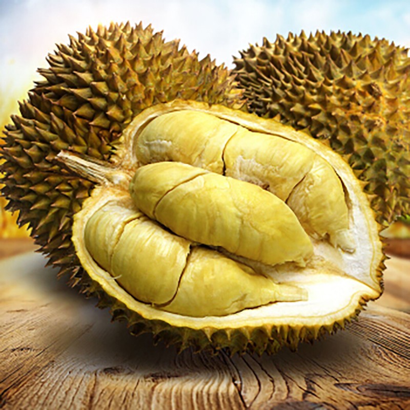 云南金枕榴莲：香甜软糯香味浓郁，让您榴莲忘返的味道（全年供应）
