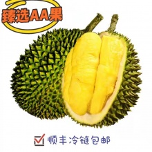 云南AA品猫山王榴莲|