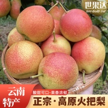 世果达云南高原冬红梨酸甜火把梨彩虹早酥沙苹果梨子彝族楚雄特产水果 3斤装