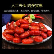  龙虾尾冷冻鲜活新鲜麻辣小龙虾尾特级大号整箱虾球生海鲜水产包邮