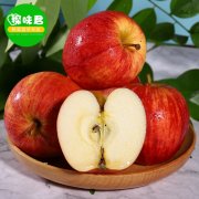  新西兰进口加力果10个装新鲜苹果水果嘎啦苹果加纳姬娜果当季包